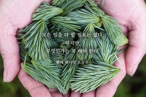 비타민 2