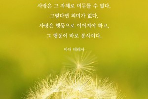 비타민 14