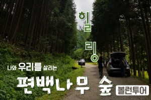 홈페이지-메인3